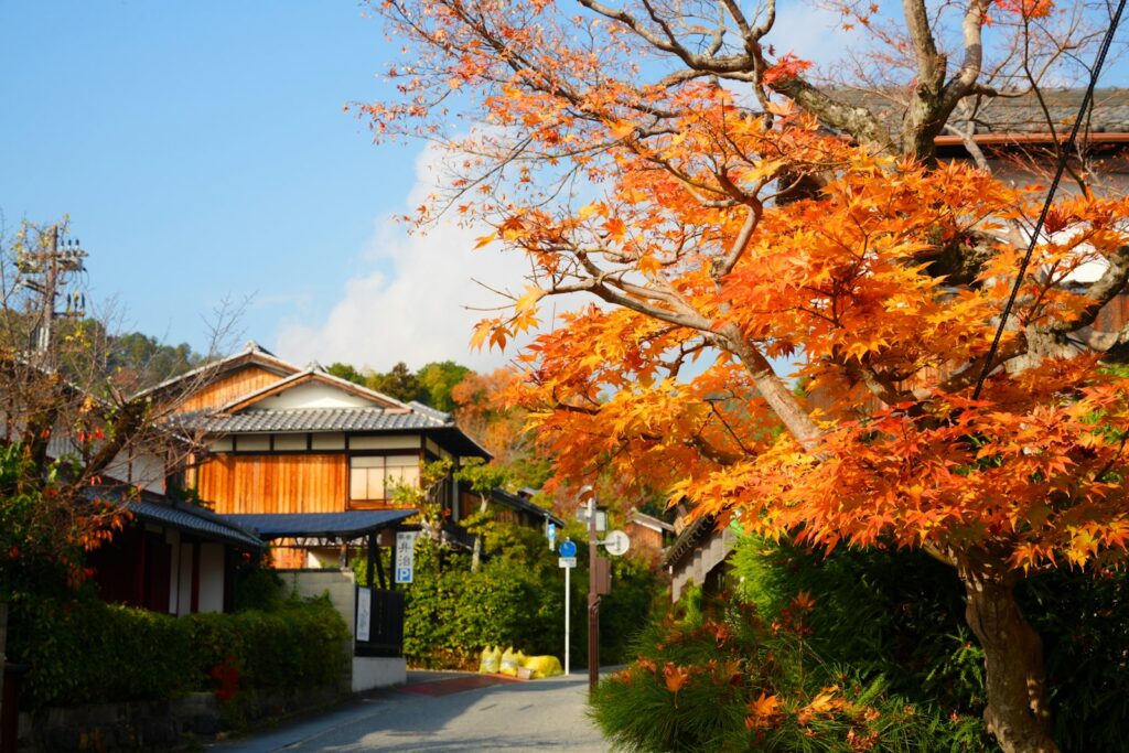 Autumn leaves framing traditional Japanese houses on a quiet street