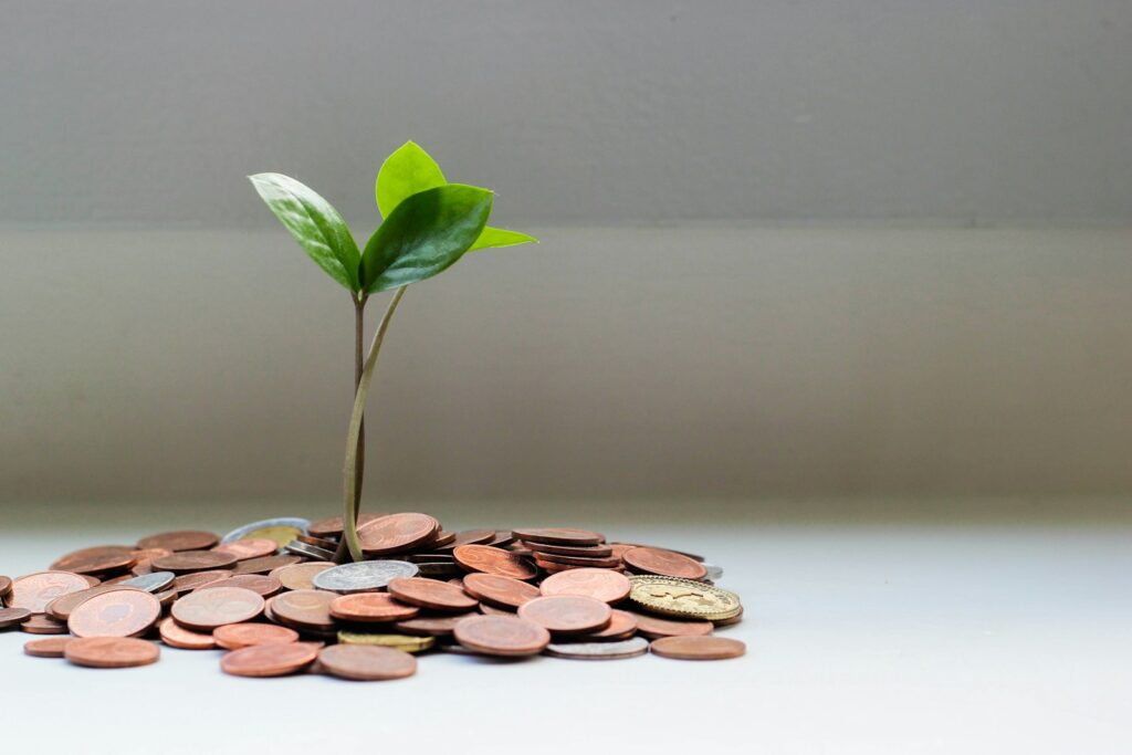 Small green plant growing from a pile of coins